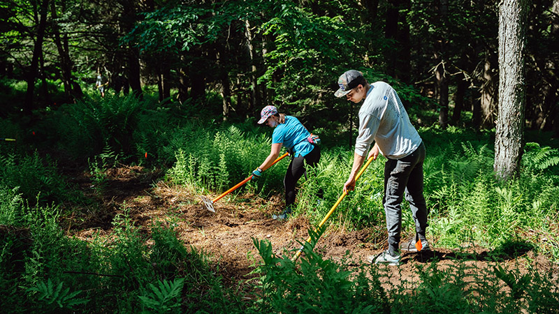 Two people maintaining trails with tools in the woods.
