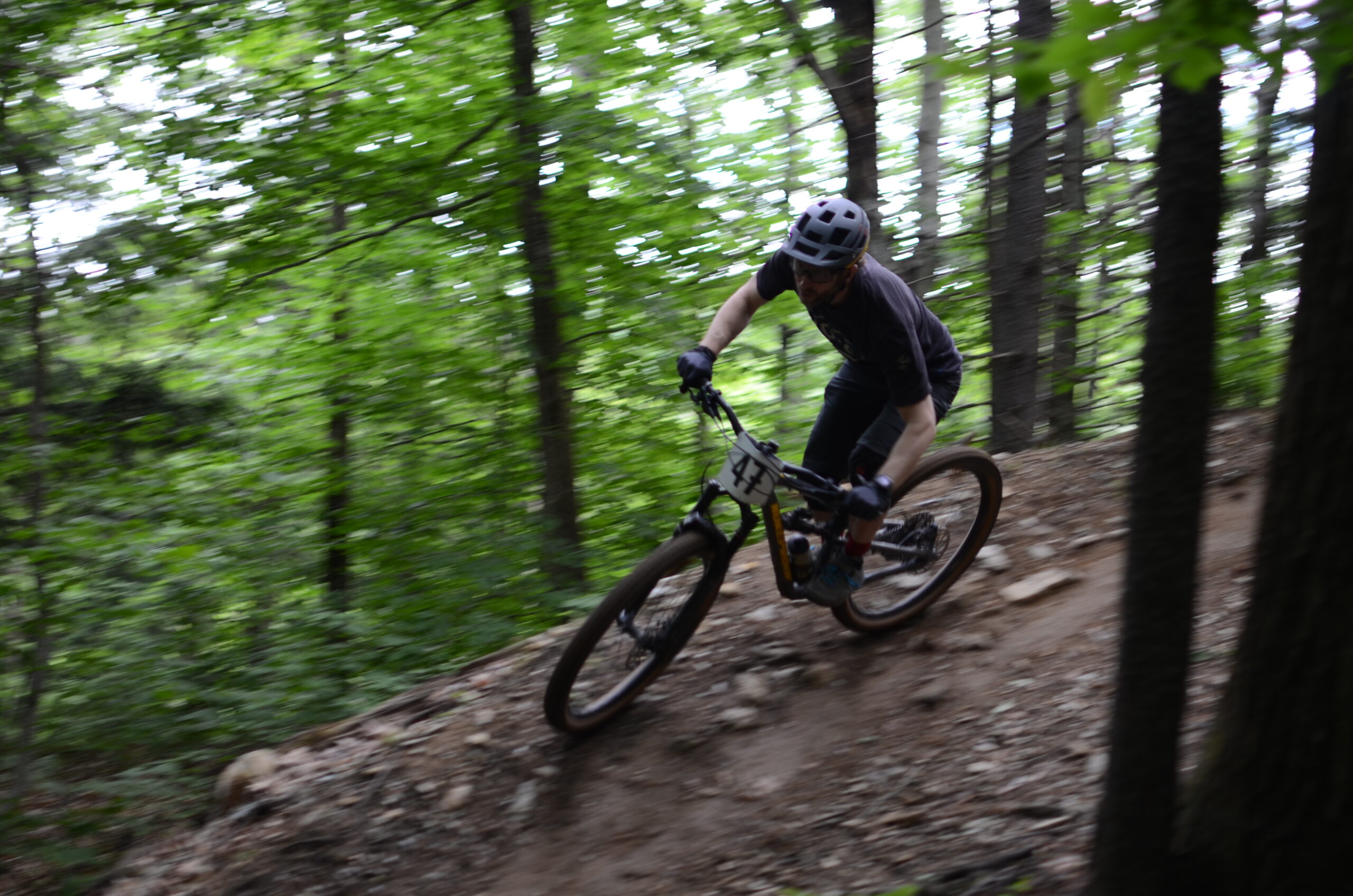 Mobbs Farm and Arcana