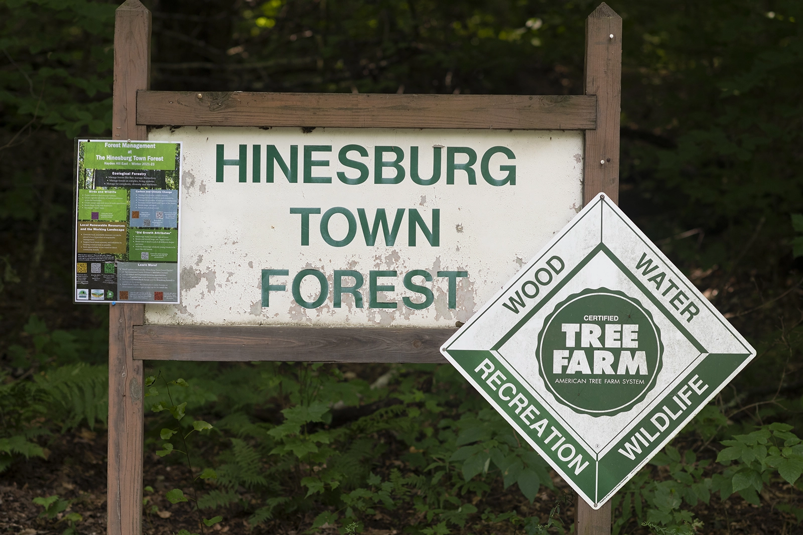 Hinesburg Town Forest
