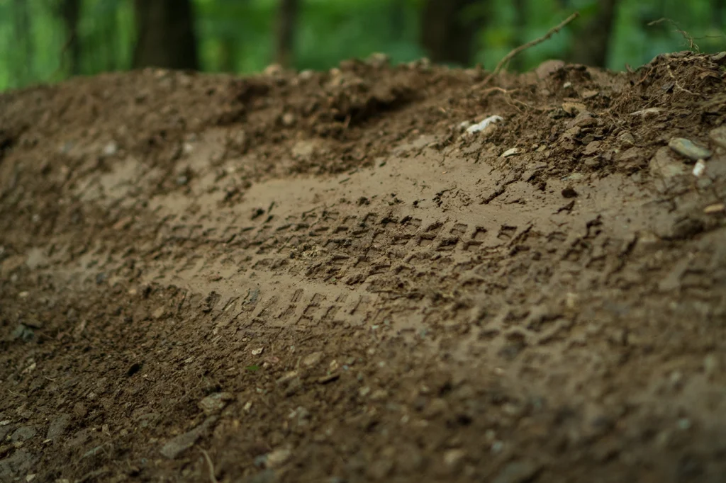 A bike tread on a dirt berm in the woods.