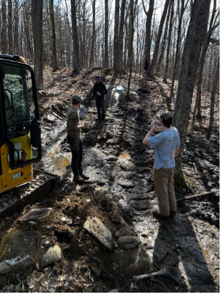 Saxon Hill Logging Update