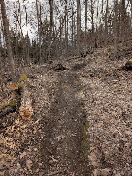 A view of a trail in the woods with logs stacked nearby.