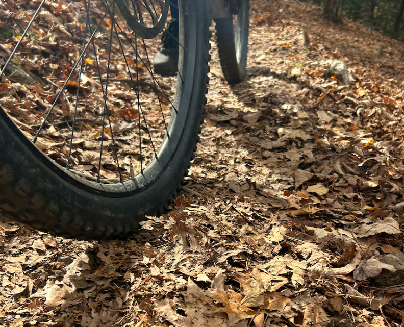 Leaf Litter, How We Clean It Up